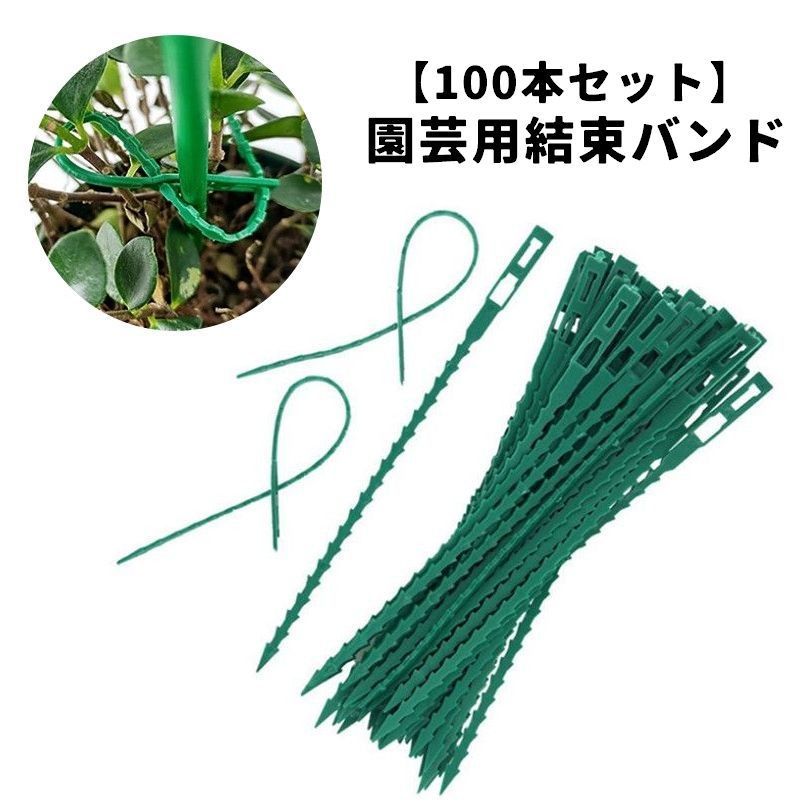 植物のサポート、垣根・支柱の固定に便利♪大容量タイプ◎園芸用結束バンド(100本セット)です。 【サイズについて】画像をご参照ください。 【カラーについて】生産ロットにより柄の出方や色の濃淡が異なる場合がございます。お使いのモニターや撮影時の光の加減などにより画像と実際の商品のカラーが異なる場合もございます。予告なしにカラーやデザインなどの変更がある場合もございます。 【素材について】PE