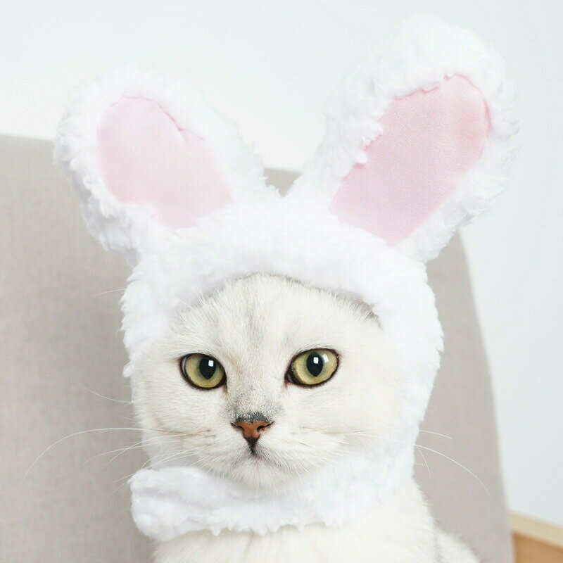 ペット用帽子 猫用帽子 かぶり物 猫 小型犬 ...の紹介画像2