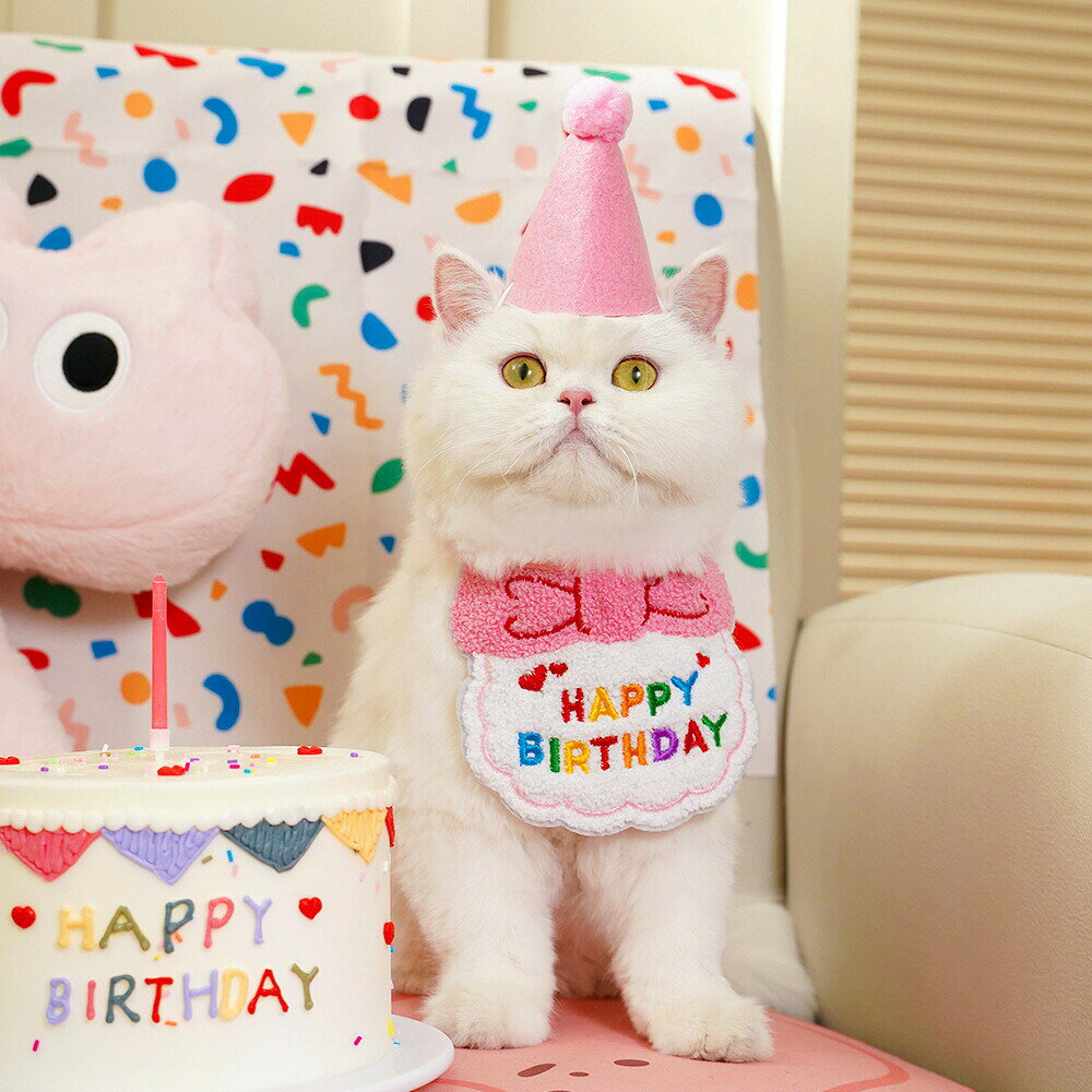 スタイ 帽子 2点セット ペット用 ペット 猫 ネコ 犬 イヌ 誕生日 バースデー よだ...