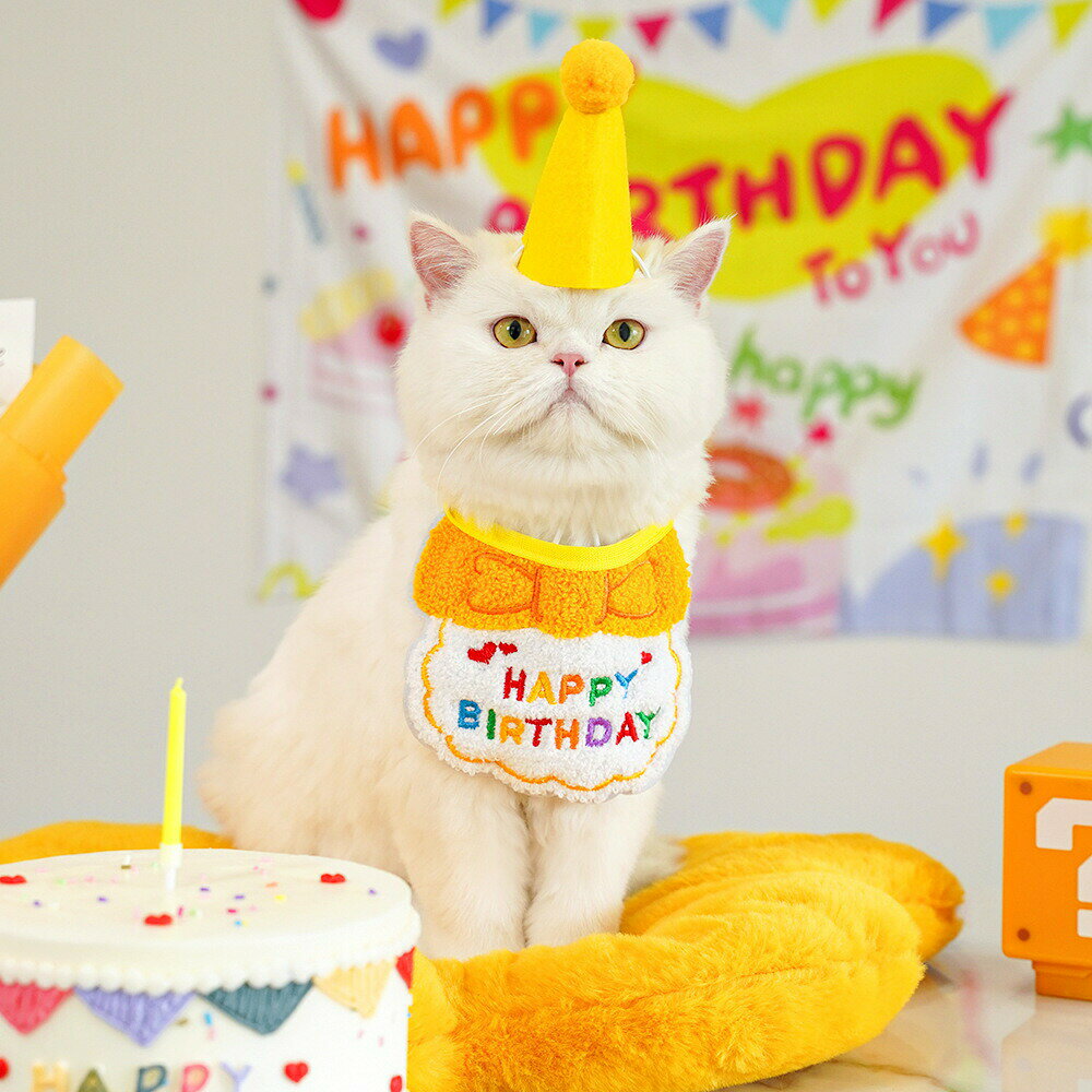 スタイ 帽子 2点セット ペット用 ペット 猫 ネコ 犬 イヌ 誕生日 バースデー よだ...
