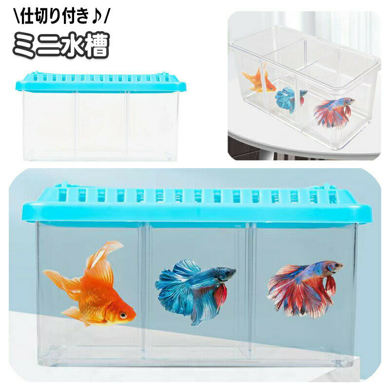 ミニ水槽 仕切り付き 小型 小さめ ペット用品 観賞魚 パーテーション 取り外し可能 卓上 水族館  ...