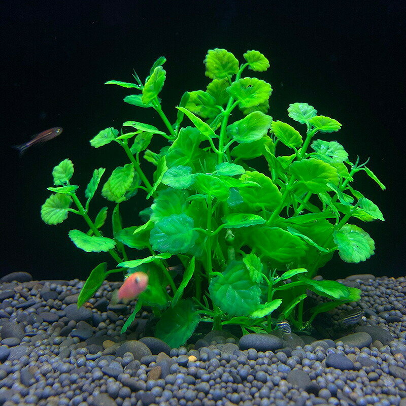 人工水草 人口プランツ アクアティックプランツ 生き物 熱帯魚 メダカ 金魚 ベタ ...