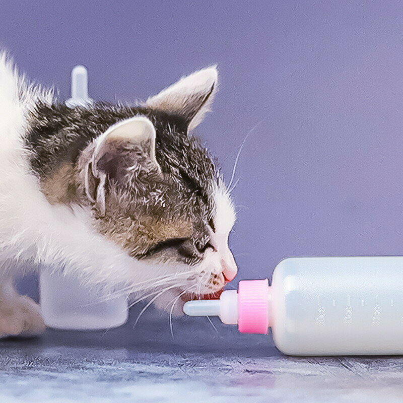 ペット用哺乳瓶 哺乳器 50ml 子猫 子犬 小動物 メモリ付き ミルクフィーダー ミル...