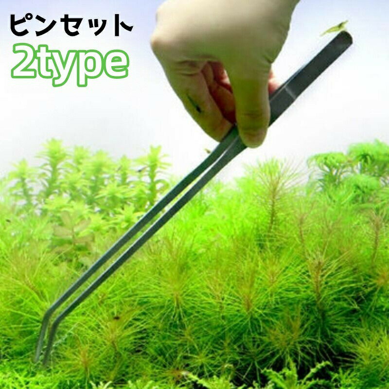 ピンセット 水槽 餌 えさ アクアリウム ロング ストレート ハーバリウム お手入れ ペットグッズ 掃除 魚