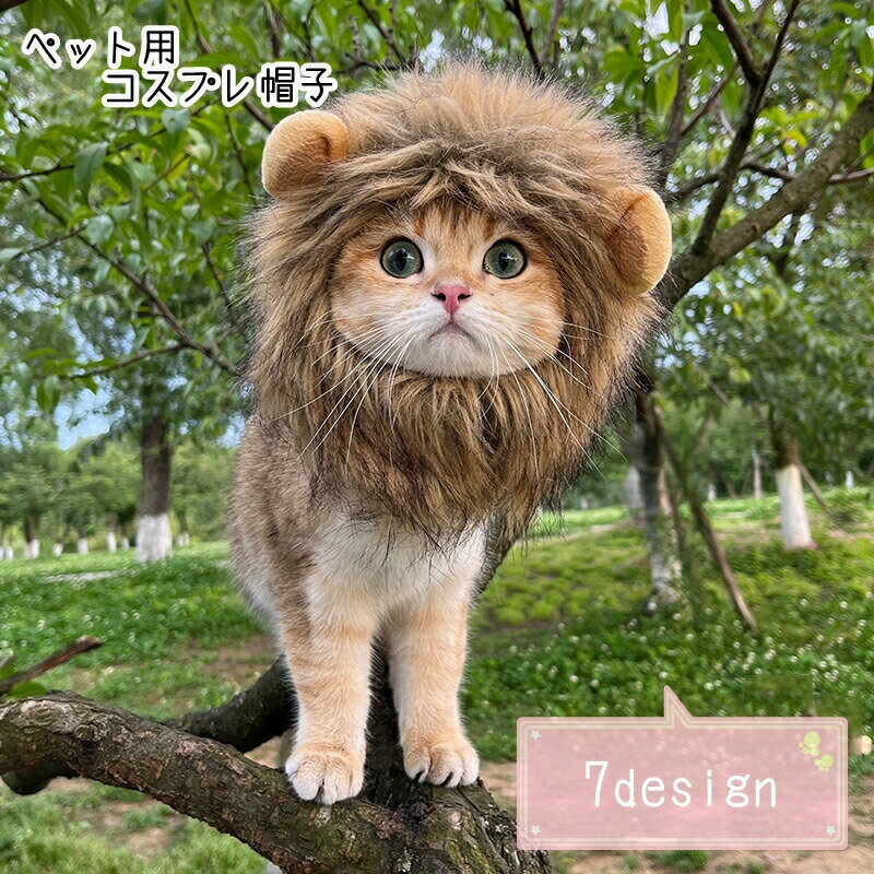 ペット用コスプレ衣装 ペット用衣装 ペット用帽子 ペット用フード 小型犬 イヌ 猫 ...