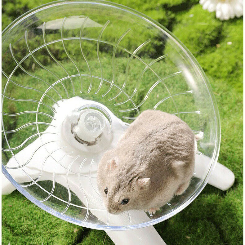 BACKYARD FAMILY バッグタウンの小動物用ホイール 回し車 滑り止め ソーサータイプ スタンドタイプ ハムスター ペット用品 ペットトイ 走る ランニング 肥満防止 クリアカラー シンプル 運動不足解消 ストレス発散 ペットグッズ｜アングル3