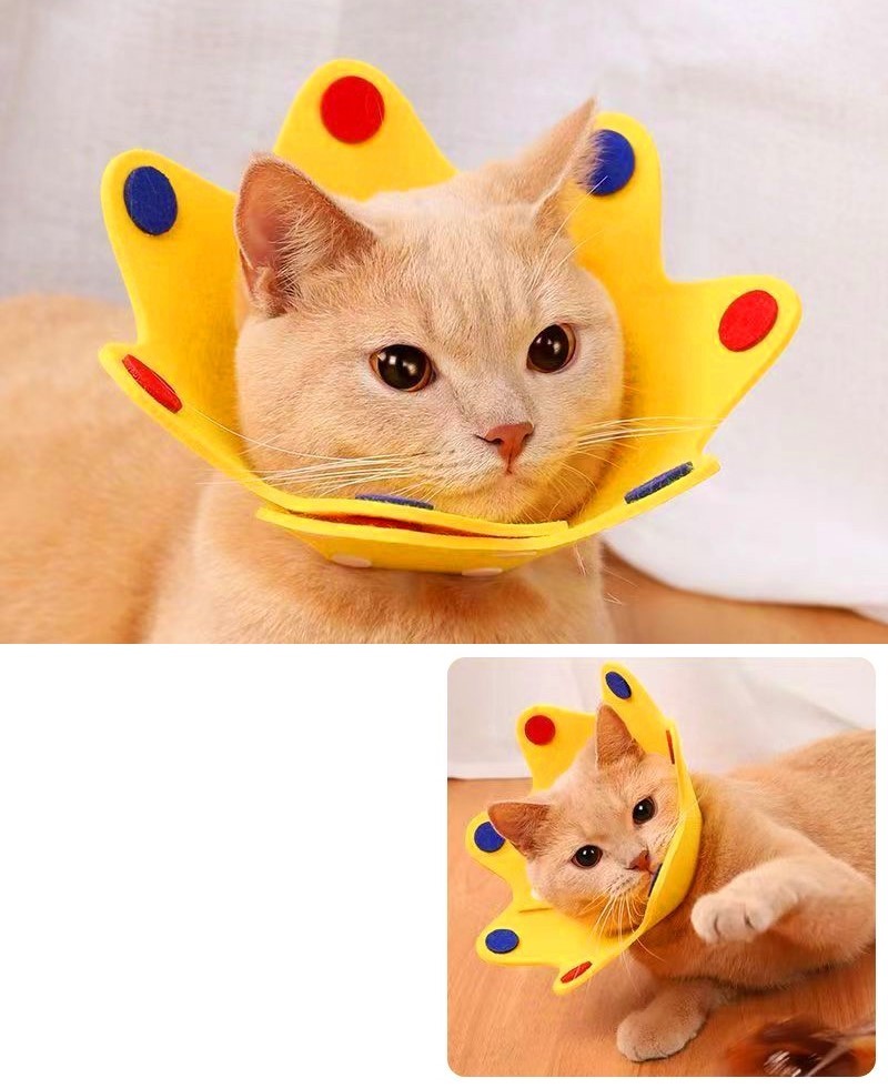 エリザベスカラー 猫 ネコ 小型犬 イヌ 小動物用 ペットグッズ ペット用品 ペット...