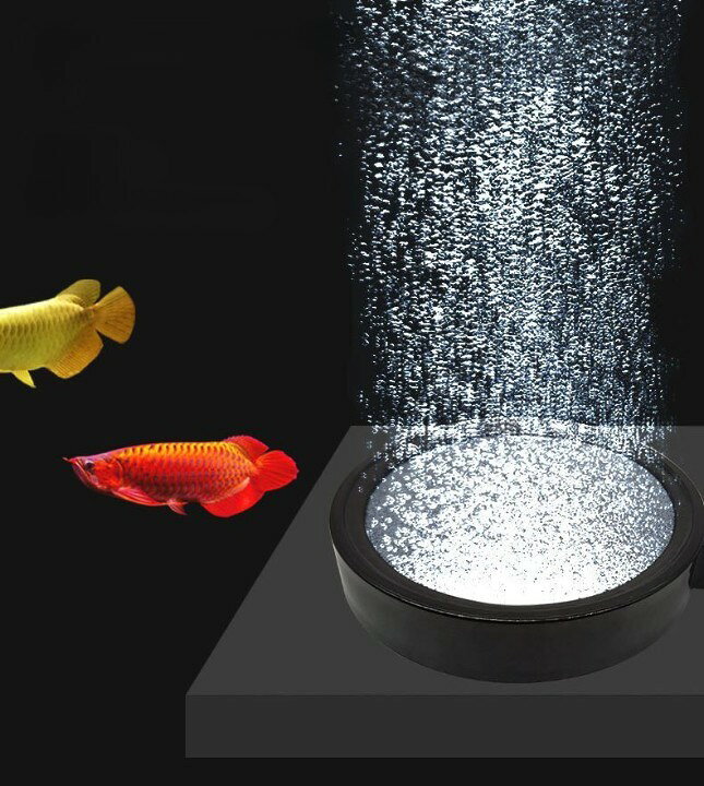 BACKYARD FAMILY バッグタウンのエアストーン エアレーション 空気石 水槽用 ペット用品 丸型 サークル フラット 10cm 13cm バブル 水泡 泡 気泡石 魚 熱帯魚 金魚｜アングル2