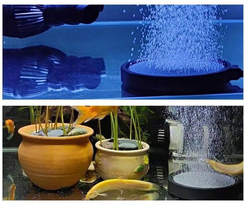 BACKYARD FAMILY バッグタウンのエアストーン エアレーション 空気石 水槽用 ペット用品 丸型 サークル フラット 10cm 13cm バブル 水泡 泡 気泡石 魚 熱帯魚 金魚｜アングル3