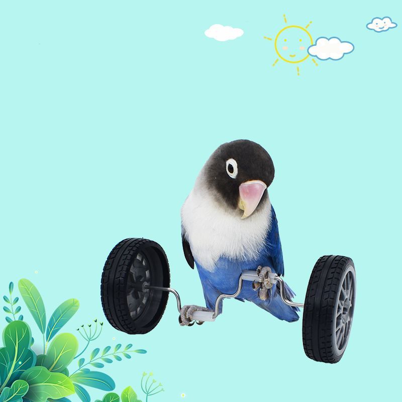 鳥用おもちゃ ペット トリ インコ 小鳥 車輪 運動 遊び道具 一人遊び ストレス発散 楽しい シンプル おしゃれ 定番 かわいい プレゼント 贈り物 誕生日 2