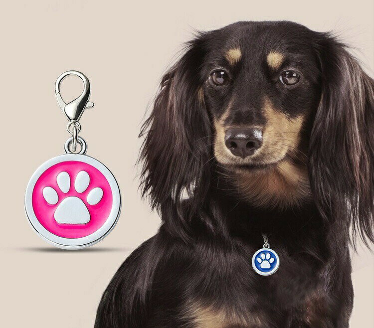 ペット用迷子札 名札 ネームタグ ネームチャーム 犬猫兼用 ドッグタグ キャットタ...