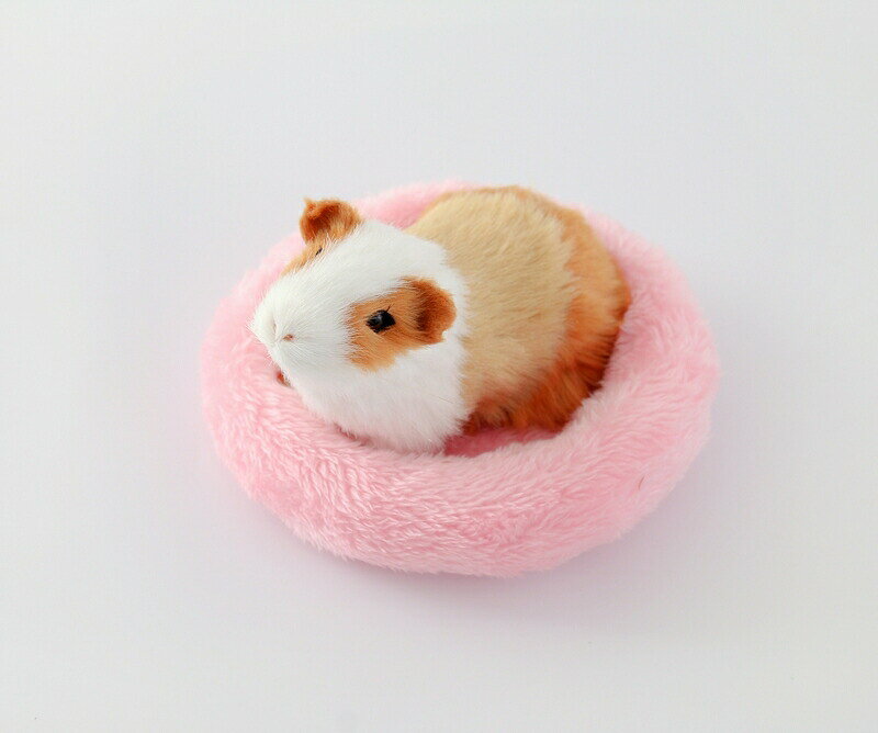 BACKYARD FAMILY バッグタウンの小動物用ベッド 小動物用クッション ペットベッド ペット用品 丸型 ラウンド型 縁付き ハムスター モルモット モモンガ 座布団 マット ふわふわ｜アングル2