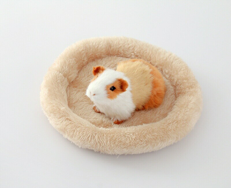 BACKYARD FAMILY バッグタウンの小動物用ベッド 小動物用クッション ペットベッド ペット用品 丸型 ラウンド型 縁付き ハムスター モルモット モモンガ 座布団 マット ふわふわ｜アングル3