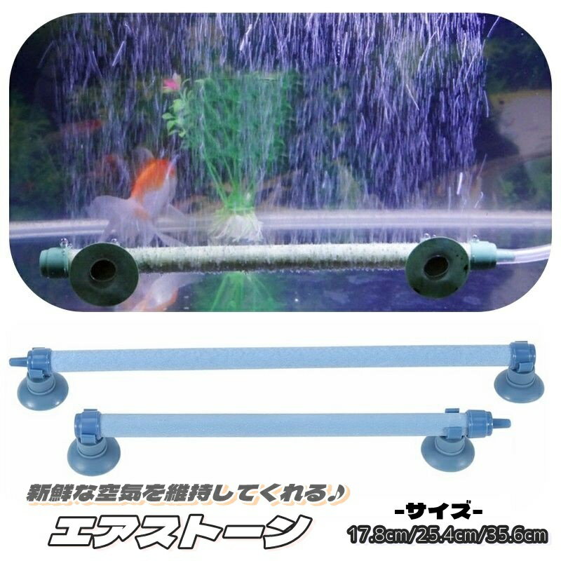 新鮮な空気を維持してくれるエアストーンです。エアポンプに接続し、水の中に入れて使用します◎※泡を発生させるには、エアポンプに接続する必要があります。※接続するホースは一般的なホースです（エアーポンプ用） 【サイズについて】画像をご参照ください。 【カラーについて】生産ロットにより柄の出方や色の濃淡が異なる場合がございます。お使いのモニターや撮影時の光の加減などにより画像と実際の商品のカラーが異なる場合もございます。予告なしにカラーやデザインなどの変更がある場合もございます。 【素材について】プラスチック