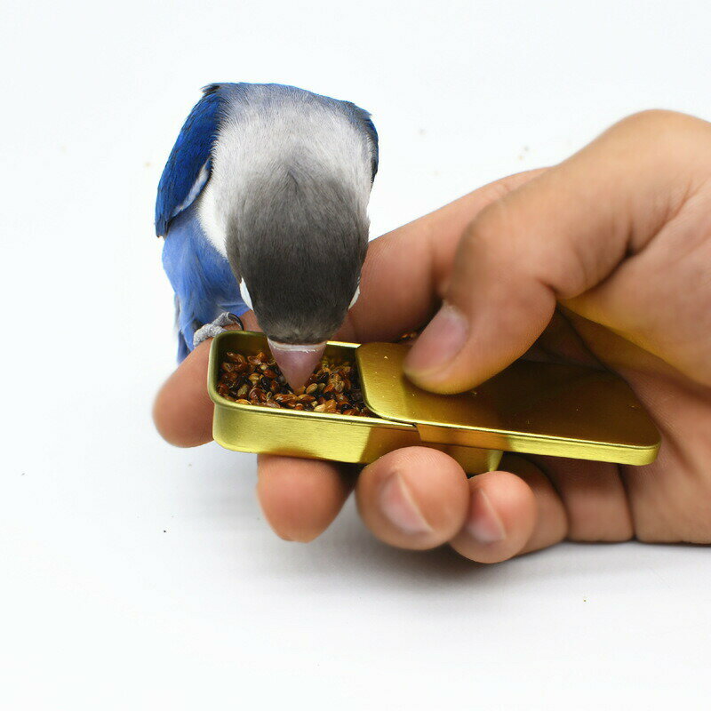 鳥用フードボックス フードケース バードフィーダー 給餌器 小動物 しつけ ごはん箱 挿し餌 スライド式 餌入れ エサ箱 小鳥 携帯用 トレーニング 持ち運び コンパクト 収納 保存容器 穀類 虫 シード ペット用品 2