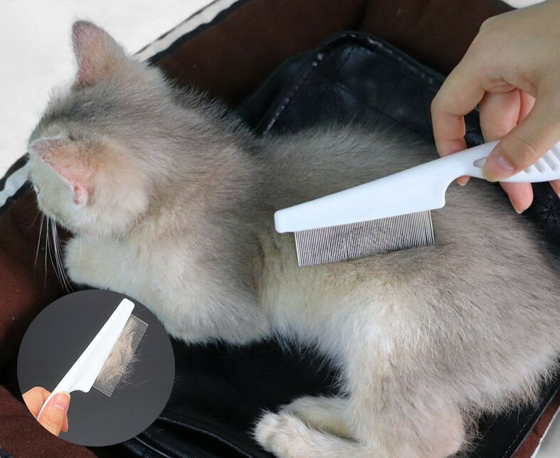 �Υ߼��֥饷 ���� �ڥå��ѥ����� ǭ�� ���� ��ưʪ ȴ���Ӽ�� �֥�å��� ���롼�ߥ� �������� ���ӥ��� �Υ� �����к����� ͽ�� �� �ڥå����� ȴ���ӽ��� �ͥ��� ������ ������ ������ ������� ����å� �ꥹ ����ץ�