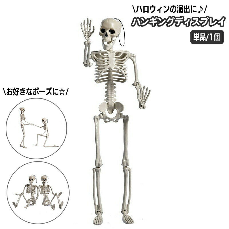 樂天商城 - ハロウィン用品 室内装飾 ガイコツ 骸骨 単品 1個 スケルトン 骨格 がい骨 ドクロ 吊り下げ 吊り飾り ホラー リアル 怖い パーティーグッズ ポージング デコレーション ディスプレイ イベント 店内装飾 ハロウィーン