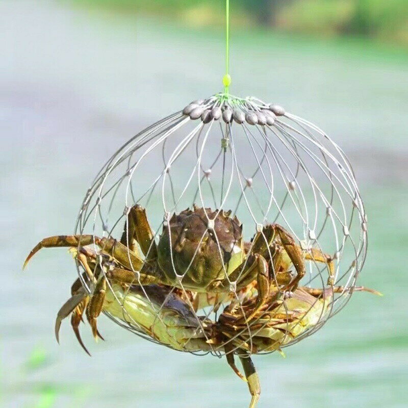 BACKYARD FAMILY バッグタウンのカニ網 漁網 投げ網 魚獲り網 仕掛け ネット カニ フィッシング用品 釣り具 自動開閉 折りたたみ式 ロブスター エビ ザリガニ 持ち運び 便利 小型 川 湖 海 カニキャッチ 捕獲ネット｜アングル2