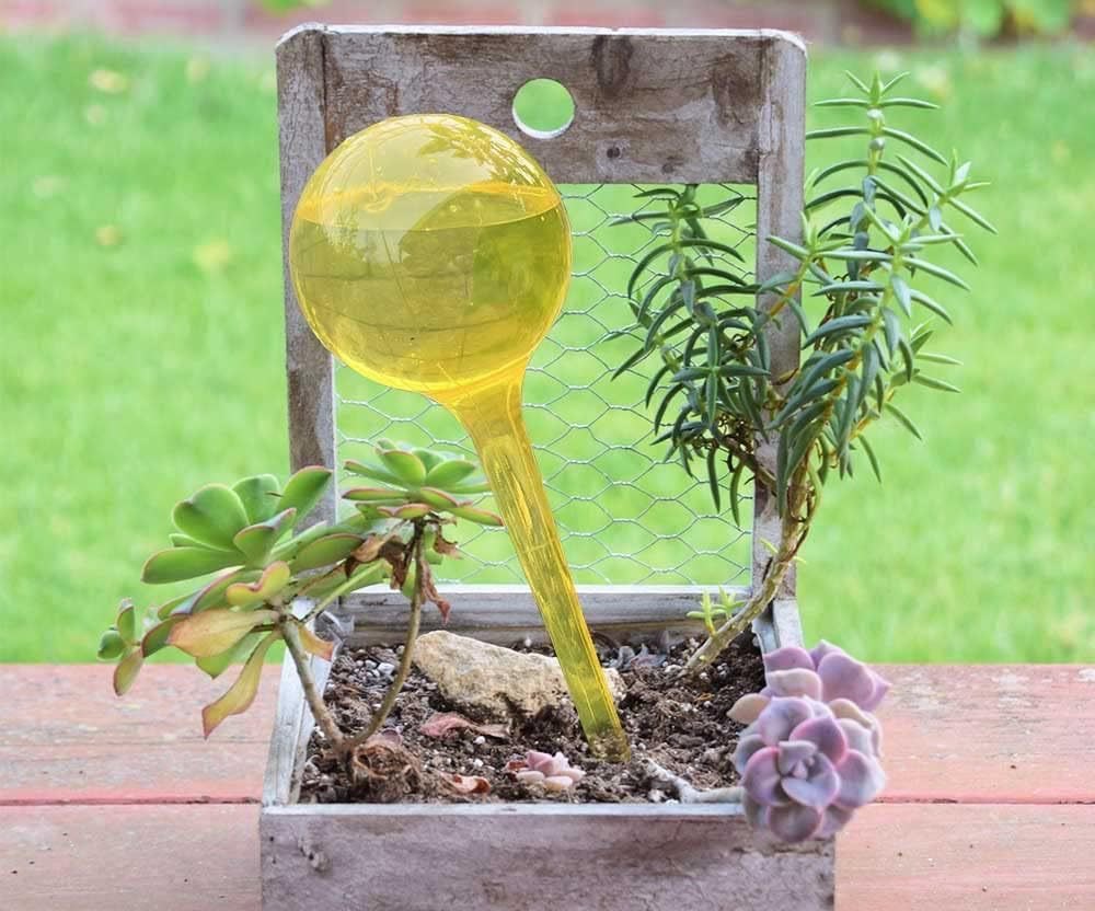 自動散水球根 植物散水グローブ 自動給水バルブ 自動散水装置 ボール灌漑装置 鉢植...