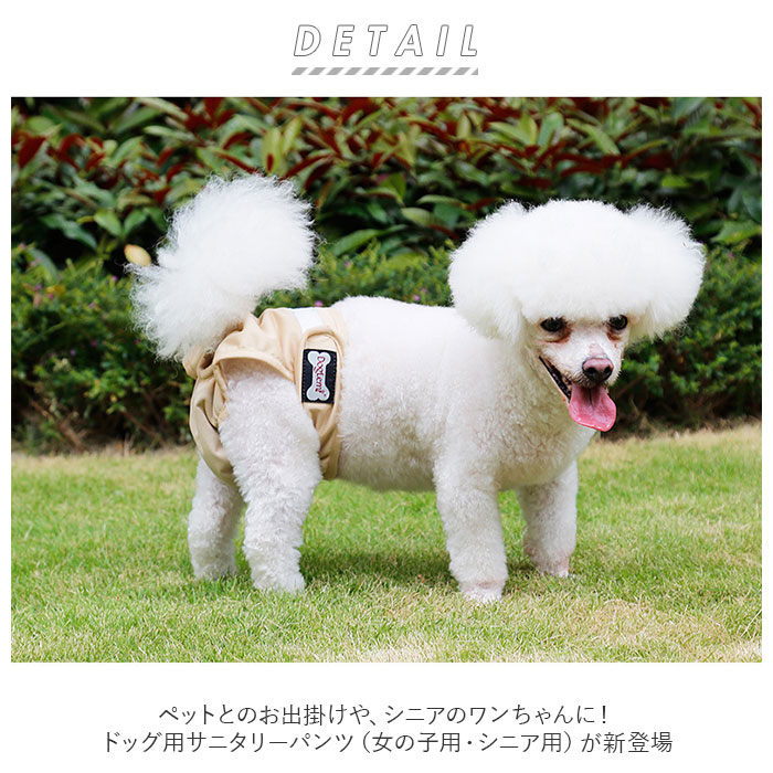 マナーパンツ 犬 好評 サニタリーパンツ 女の子 生理パンツ オムツカバー マナーショーツ シンプル 小型犬 中型犬 大型犬 ドッグウェア 犬の服 おしゃれ かわいい ペット用品 ドッグカフェ backyard-1-10050648 BACKYARD FAMILY バッグタウン サンプル画像2