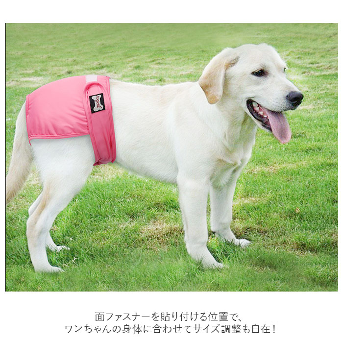 マナーパンツ 犬 好評 サニタリーパンツ 女の子 生理パンツ オムツカバー マナーショーツ シンプル 小型犬 中型犬 大型犬 ドッグウェア 犬の服 おしゃれ かわいい ペット用品 ドッグカフェ backyard-1-10050648 BACKYARD FAMILY バッグタウン サンプル画像3
