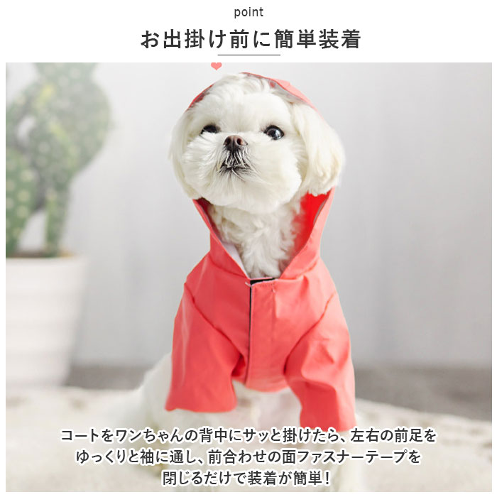 サンプル画像3