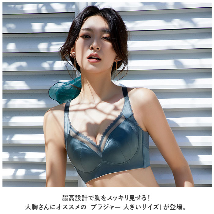 ブラジャー 大きいサイズ 好評 インナー ブラ 補正下着 下着 レース 薄い 通気性 大きな胸 小さく見える セクシー 快適 軽量 おしゃれ かわいい レディース backyard-1-10354971 BACKYARD FAMILY バッグタウン サンプル画像2