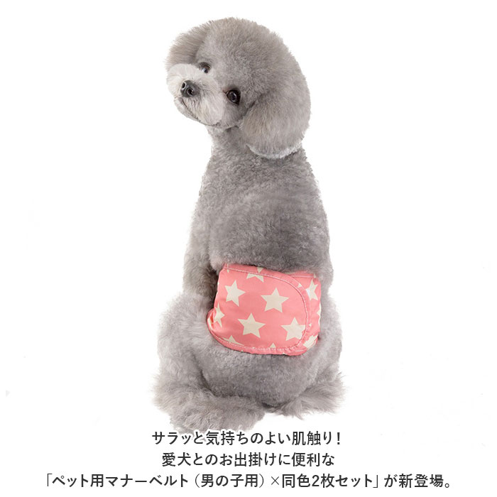 犬 マナーベルト 好評 犬服 マナーバンド マナーウェアー 2枚セット セット おむつカバー マーキング防止 シンプル オス犬 犬 いぬ 小型犬 中型犬 散歩 ドックラン 介護犬 シニア犬 おむつ backyard-1-10354155 BACKYARD FAMILY バッグタウン サンプル画像2