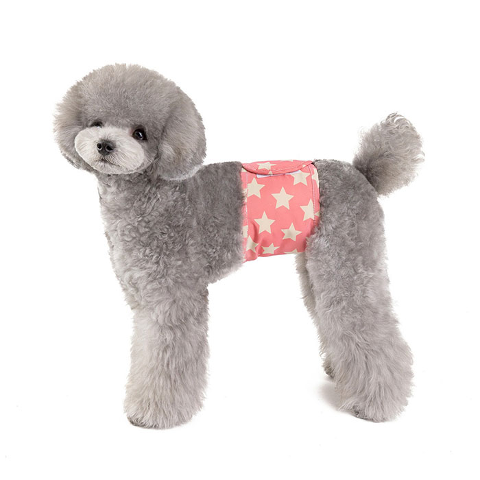 犬 マナーベルト 好評 犬服 マナーバンド マナーウェアー 2枚セット セット おむつカバー マーキング防止 シンプル オス犬 犬 いぬ 小型犬 中型犬 散歩 ドックラン 介護犬 シニア犬 おむつ backyard-1-10354155 BACKYARD FAMILY バッグタウン サンプル画像3