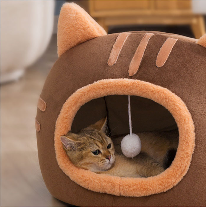 �ڥåȥϥ��� �ɡ��෿ �̲� ��ɾ �٥å� �ڥåȥ٥å� ���å���� ����åȥϥ��� ǭ�ϥ��� �ϥ��� �ڥå��� �⤳�⤳ �⥳�⥳ �դ��դ� �ե��ե� ǭ �ͤ� �ͥ� �� ���� ���襤�� �ɴ� �ɴ��к� ������ ǭ�� ���� ������� ���� ������