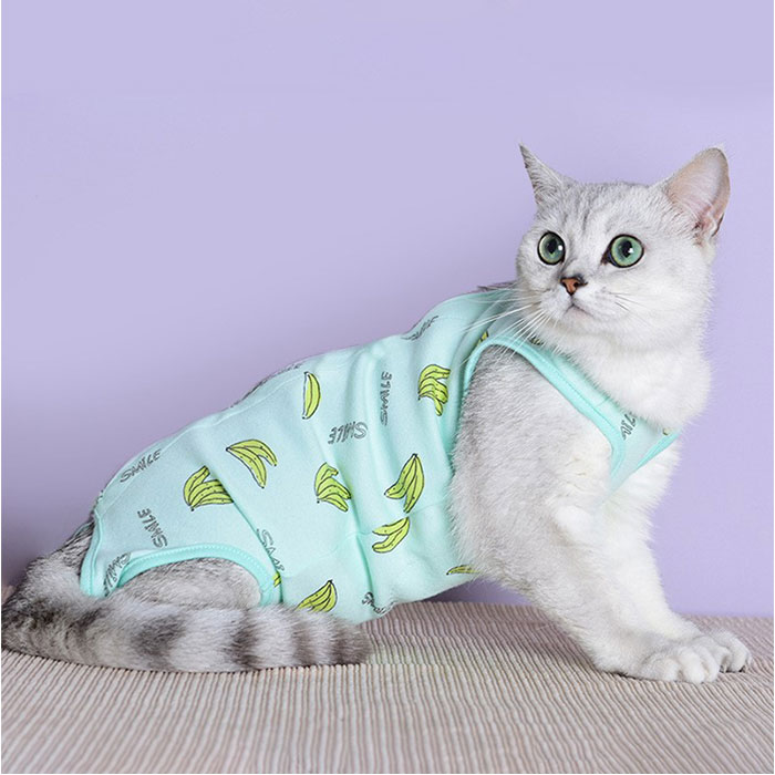 術後服 猫 好評 術後ウェア ねこ 術後 服 ...の紹介画像3