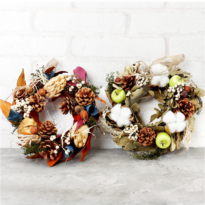 �꡼�� ¤�� ��ɾ �ե������ե� �ե��꡼�� �ե����ե� ���ؾ��� ���� ��ӥ� ������꡼�� M������ XS-30 �礭�� ������� ���襤�� ������� �İ��� £��ʪ ���ե� �����