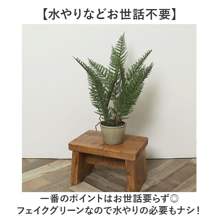 ���տ�ʪ �ե����� �緿 ��ɾ �����ƥ��ե�����륰�꡼�� �ե��������꡼�� ����ƥꥢ���꡼�� �͹����տ�ʪ �礭�� ȭ���� �ݥå� ���� ��ӥ� ���ե��� Ź�� ������� ���ե� GLA-1365 �������ݥå� �ݥԡ� YDM