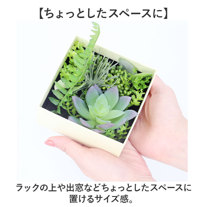 ���տ�ʪ �ե����� ������ ��ɾ ¿����ʪ �ե��������꡼�� �����ƥ��ե�����륰�꡼�� ����ƥꥢ���꡼�� ¿�� �͹����տ�ʪ ��� ������ ���� �ߥ� �ܥå��� Ȣ���� ������� ���ե� SPD-0401 ���꡼��ߥå�������� �ݥԡ� YDM