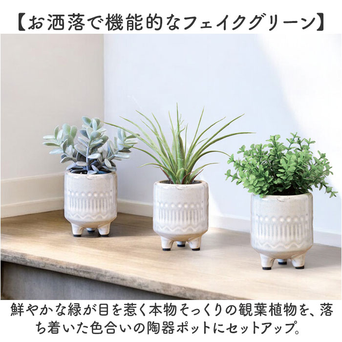 ������ �ե��������꡼�� ��ɾ �͹����տ�ʪ ����ƥꥢ���꡼�� ���ߥơ�����󥰥꡼�� ��ʪ ���� �ݥå� ƫ�� ��ʪ ���ߥơ������ �ý� ���� �ɥ��� ������� ����ƥꥢ�ץ��� ����