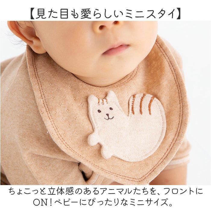 ������ �٥ӡ� ��ɾ ����줫�� ������ �֤���� ��������� �٥ӡ������� �������˥å����åȥ� �ߥ˥����� �������˥å� ���åȥ� �ʥ����� ����ץ� �ͥ� ǭ �ۿ��� ������� ���襤�� �٥ӡ����� �٥ӡ����å� �л��ˤ� ���ե�