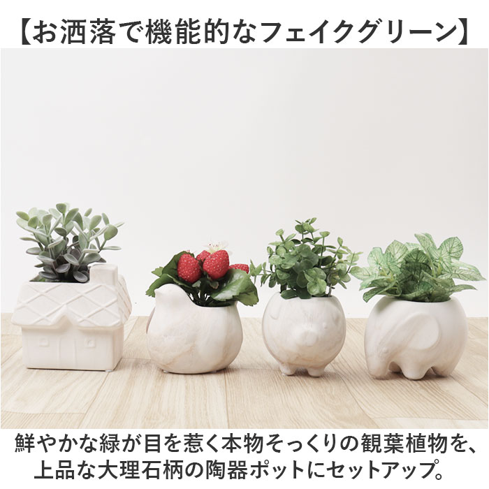 ������ �ޡ��֥�ݥå� ��ɾ �ݥå� �ܥ���ݥå� �ե��������꡼�� �ץ�󥿡� ����ȭ ���� ���տ�ʪ ��ʪ ���� ���� ����ƥꥢ���꡼�� �ý� �����޲ù� ���� �ɥ��� �ʥ����� ���� ���� �ե��� ���襤�� �İ��� ������� ������� ����ƥꥢ����