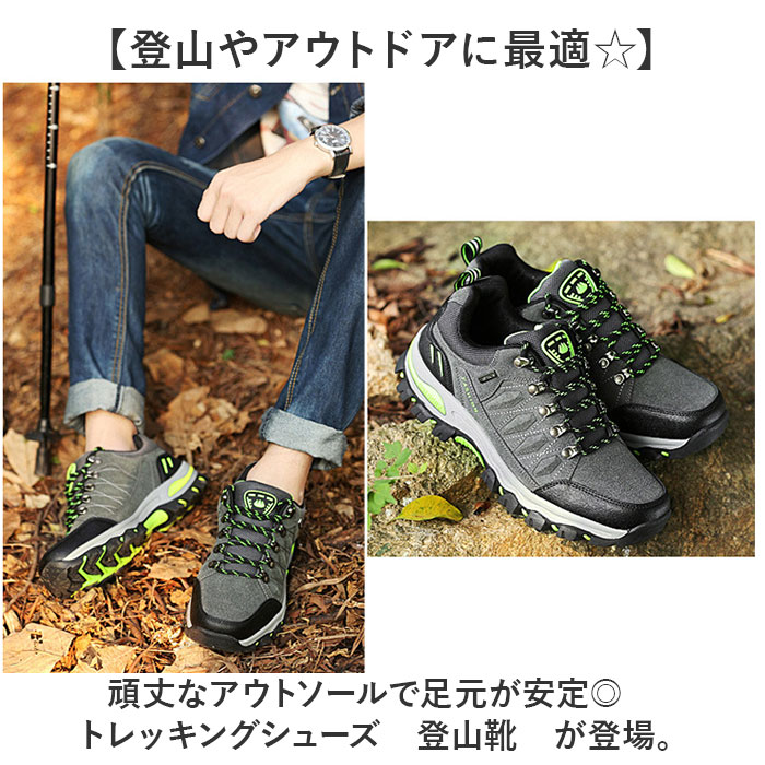 サンプル画像2