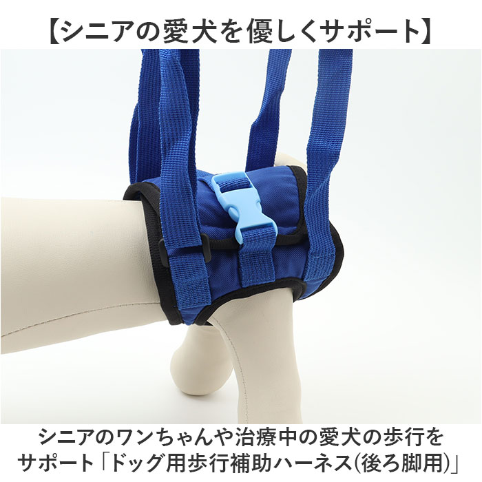 ハーネス 犬 介護 後ろ足 好評 小型犬 中型犬 介護用ハーネス 補助 後足用 大型犬 シニア犬 老犬 リハビリ 胴輪 サポート 犬用品 歩行 ペット ペットグッズ 介護用品 老犬介護 障害 ケガ 病気 軽量 歩行補助 調節可能 ペット用品 散歩 backyard-1-10371385 BACKYARD FAMILY バッグタウン サンプル画像2