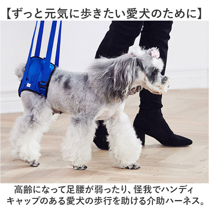 ハーネス 犬 介護 後ろ足 好評 小型犬 中型犬 介護用ハーネス 補助 後足用 大型犬 シニア犬 老犬 リハビリ 胴輪 サポート 犬用品 歩行 ペット ペットグッズ 介護用品 老犬介護 障害 ケガ 病気 軽量 歩行補助 調節可能 ペット用品 散歩 backyard-1-10371385 BACKYARD FAMILY バッグタウン サンプル画像3