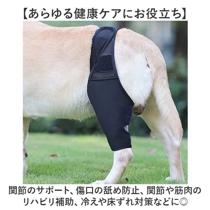 �� ���ݡ����� ��ɾ ���� ���� ��­ ���­ ������ �淿�� �緿�� �����ݸ� ɪ ����ץ��ƥ����� ���Ӥ��ɻ� Ϸ����� �ڥå��� ���˥� ��� ������� �ɥå� ɪ���� �ڥå� Ϸ�� Ϸ�� ����