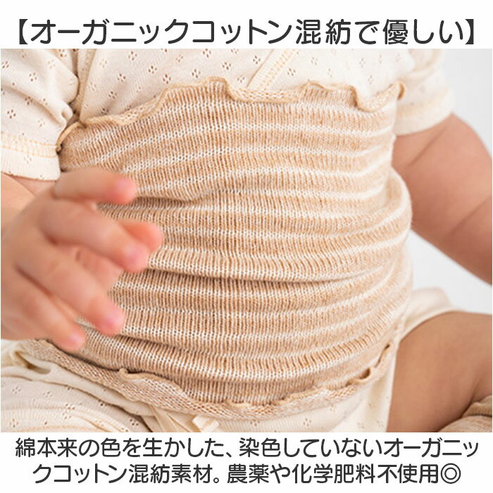 POMPKINS �ݥץ��� ���ʤ��������ޡ� �˥å� �������˥å� ��ɾ ʢ�� ������ ʢ���� �ϥ�ޥ� �Ϥ�ޤ� �٥ӡ� �֤���� ���åȥ� �������˥å����åȥ� �ˤλ� ���λ� ����ץ� ���襤�� �İ��� �л��ˤ� ���ե� £��ʪ