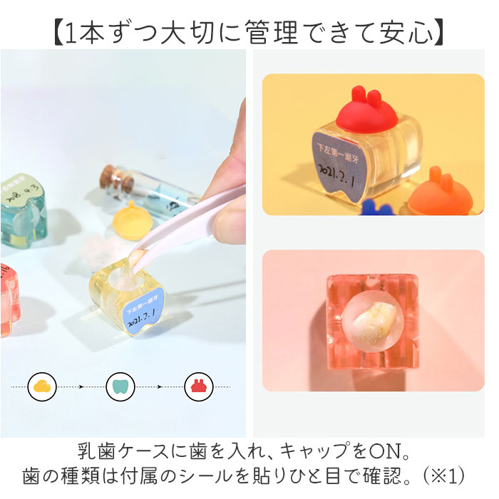 乳歯ケース プラスチック 好評 乳歯入れケース 乳歯入れ 乳歯 保管ケース 歯 保管 ...
