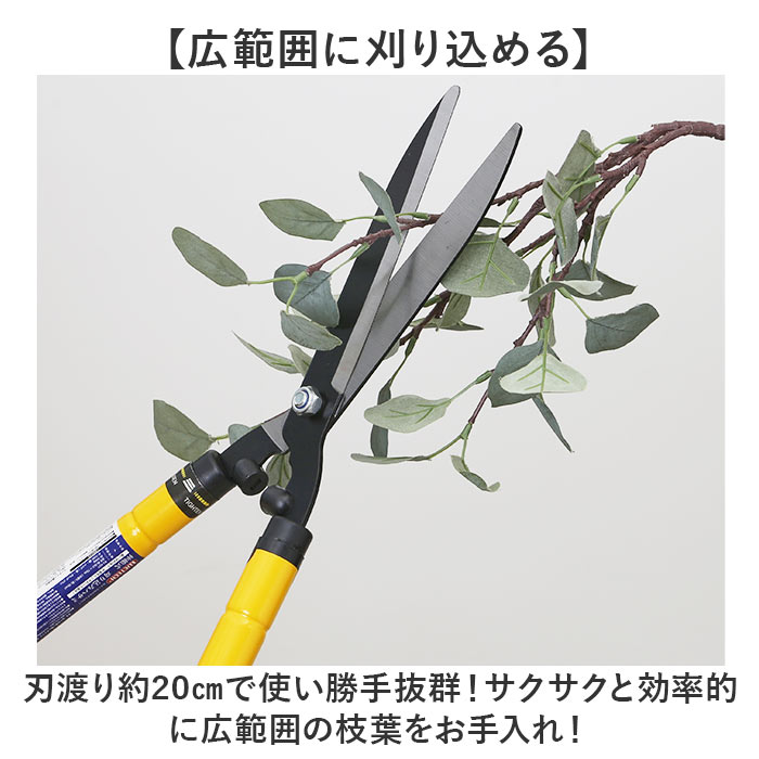 ������ߥϥ��� ���̼� ��ɾ ���� ���� ���ڤ� ���� ����Ф��� ������ �Ϥ��� �ϥ��� ���ڤФ��� �������� ���ڤ�Ф��� ����ϥ��� ��� ���� �����ǥ˥� �����ڱ� ��ݤФ��� ��������Ф��� ������� ����ѤϤ��� ���� ���� ���μ����� ¤��