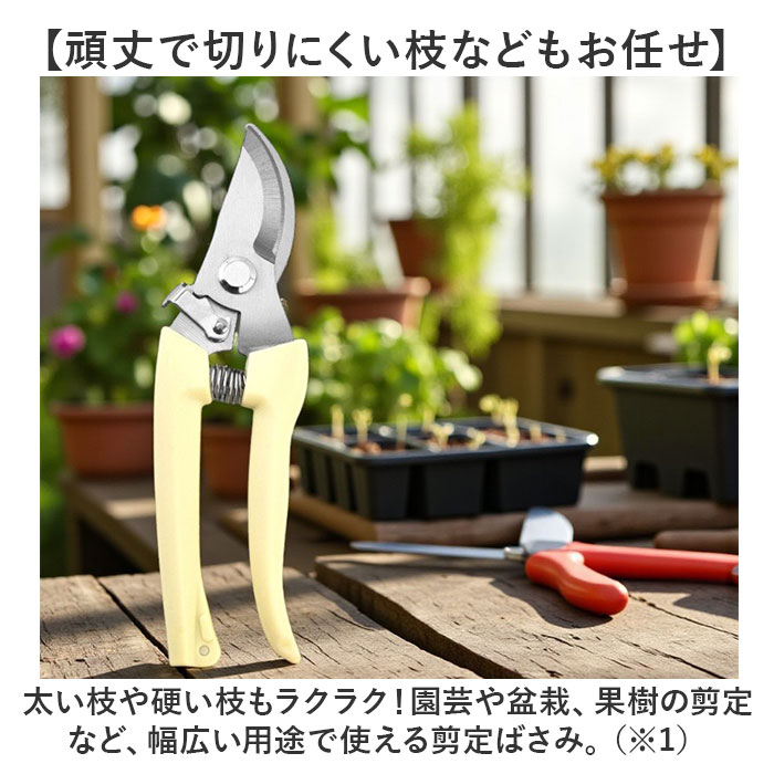����Ф��� ��ɾ ������ ��ݤФ��� ���ڤ�Х��� �ϥ��� �Ϥ��� ��� �����ǥ˥� ����Х��� ���ڤ�Ф��� �������� ���ڤ� �����Ǻ� ¿��ǽ ���� ������ �����ڱ� ���� ����