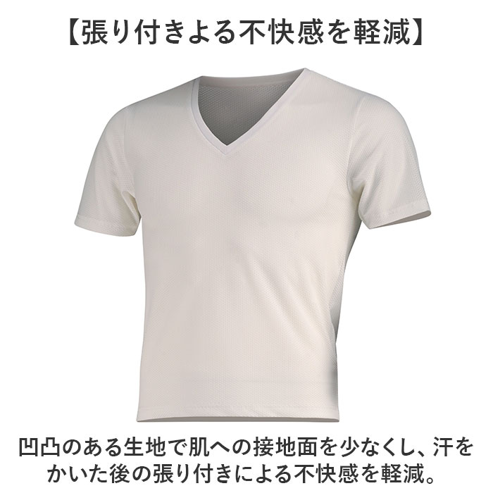 ��� V�ͥå� ����ʡ� Ⱦµ ��ɾ �ե������㥹�� 6888 FORECAST ������������ ��å��奤��ʡ� Ⱦµ����ʡ� �ɥ饤����ʡ� �ɥ饤 T����� Ⱦµ����� ȩ�� ��å��奷��� �� ��ǽ������ʡ� �۴�®�� ���˥� �̵��� ���ȥ�å�