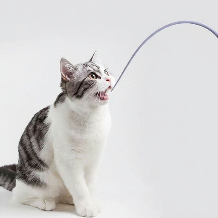 ǭ����餷 �ͥ��ߤο��� ��ɾ �ͤ��ߤο��� �ͤ��ߤΤ��ä� �ͥ��ߤΤ��ä� ǭ�Ѥ������ �ͤο��� ǭ�Τ������ �ͥ��Τ������ ������� ������� ��ư��­ ���ȥ쥹��� ǭ �ͥ� �ͤ� �ڥå��� �ڥå����� ǭ���� �ͥ����� �ڥåȥ��å�