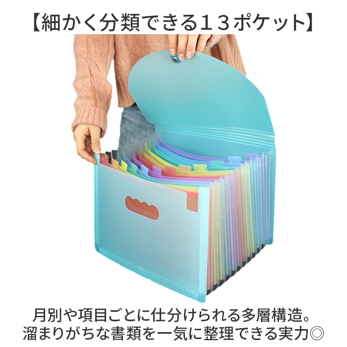 �ɥ�����ȥե����� A4 ��ɾ ����ե����� ���ॱ���� �ե����� �������� ���� ��Ǽ �ե����륱���� �������ե����� ���७��꡼ �ɥ�����ȥ���꡼ �ե������Ǽ 13�ݥ��å� �������� �������ǥ����� �ع� �ץ��� �������