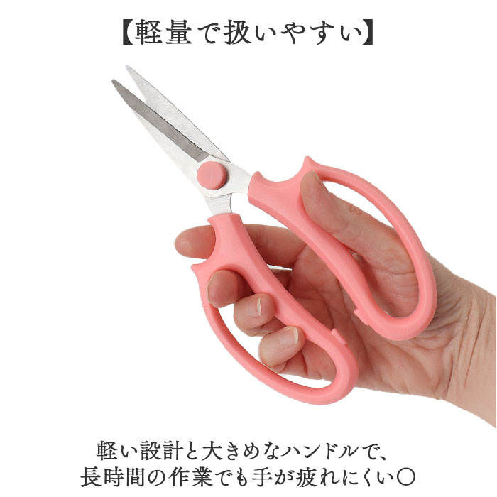 �֥Х��� ��ɾ ���� �֥ϥ��� �֤Ф��� ���褬���ä������� ��ݤФ��� ����Ф��� ������ ����Х��� ���� �Ϥ��� �ե�����󥸥��� ������ ���ƥ�쥹 �����ǥ˥����� ��ƻ ��� ������� ���襤�� �������