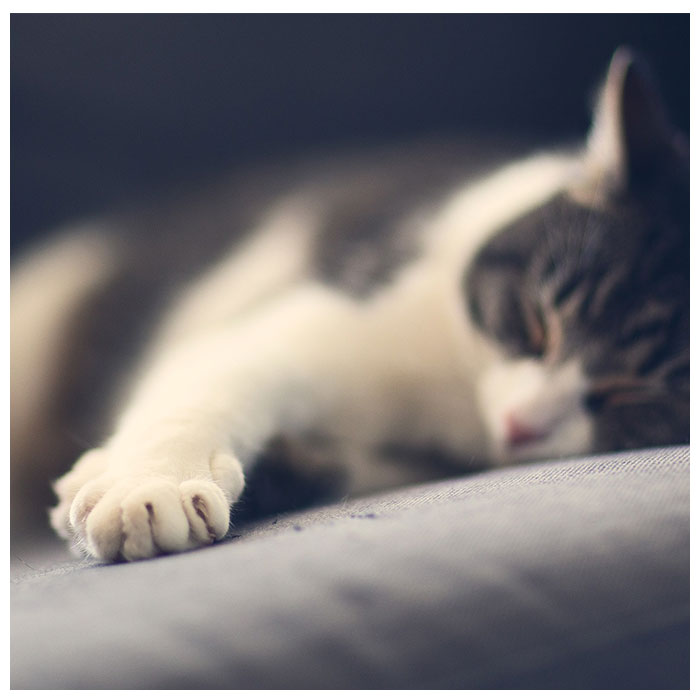 ǭ �ޤȤ� ��ɾ �ͥ� �� �ޥå� �޸��� ��ˡ��� ���ե������С� �������� ���С� ���ɻ� ǭ�� �ȶ��ݸ� ������� �Ĥ�Ȥ� ���å� ����ƥꥢ �ڥå�����